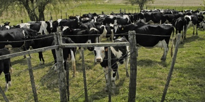 Cmaras agrarias argentinas afirman que la oferta de la UE es "mezquina"