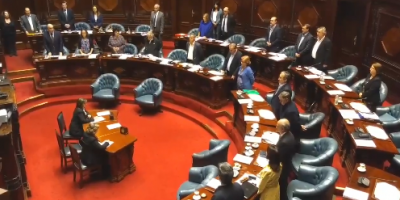Senado recuerda a Viglietti