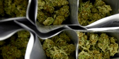 Gobierno peruano promulg� ley sobre uso medicinal de la marihuana