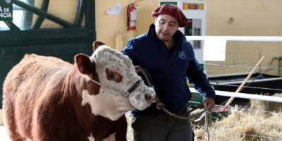 Cambios en ADN de animales domesticados, afectar�an el futuro de agricultura