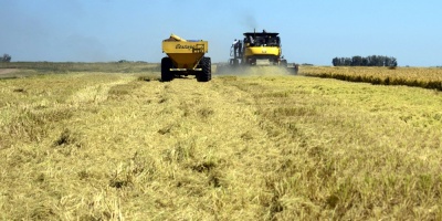 Gremiales agropecuarias se reunir�n en el Parlamento