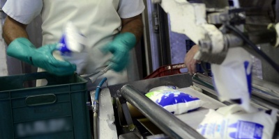 Exportaciones l�cteas uruguayas aumentaron 4%