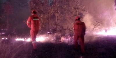 Investigan las causas de importante incendio forestal en Colonia