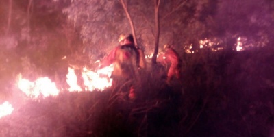 Bomberos controlaron otro incendio forestal en Rocha