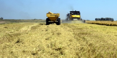 Gremiales agropecuarias esperan respuesta ante planteo en Parlamento