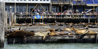 Evitaron atentado en muelle de California