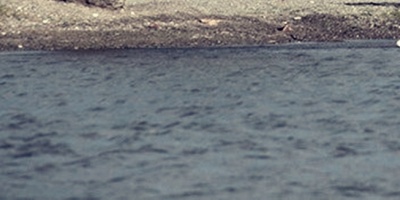 Rescatan a joven de aguas del R�o Negro