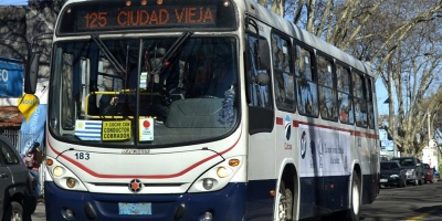 Servicios de transporte este 31 de diciembre y 1 de enero