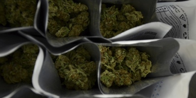 Se podr�a ver afectada la producci�n en planta de cannabis