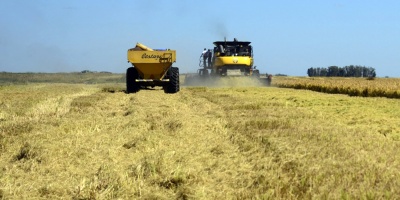 Un grupo de productores realiz� protesta en Salto
