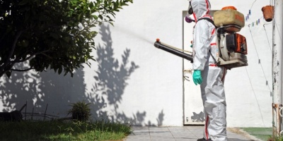 Autoridades sanitarias trabajan para evitar casos aut�ctonos de dengue