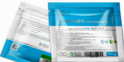 Aumentar� este jueves el precio del cannabis recreativo