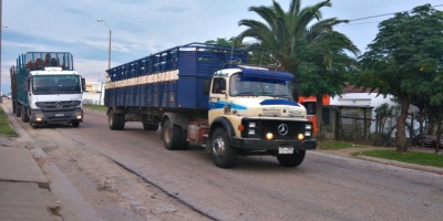Propietarios de camiones se movilizan en el marco de la vigilia y salen a las rutas 