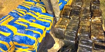 Incautan casi 500 kg de marihuana en Maldonado