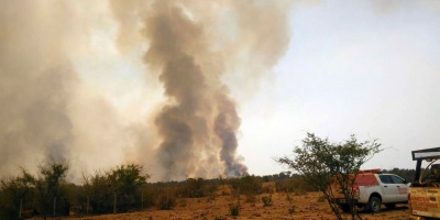 Prenden fuego para un asado y se queman mil hectreas en Argentina