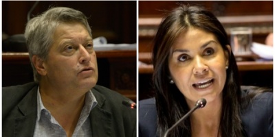 Michelini y Alonso apoyan proyecto de Bordaberry