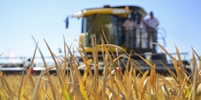 Env�an al parlamento la rebaja de la contribuci�n inmobiliaria rural
