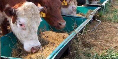 Declararon emergencia agropecuaria por 90 das