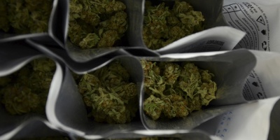La ONU advierte que liberalizaci�n de cannabis reduce percepci�n de riesgos