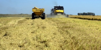 Federaci�n Rural preocupada por respuesta del gobierno