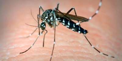 El 60 % de consultas m�dicas en centros p�blicos en Paraguay son por dengue