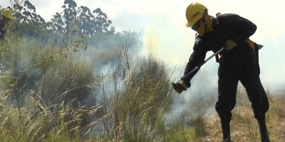 Bajaron los incendios forestales en comparaci�n con el a�o pasado