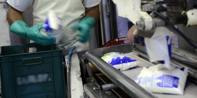 Empresa l�ctea de Paysand� busca materia prima para evitar seguro de desempleo