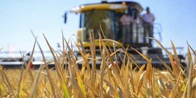 Dificultades de la sequa comenzarn a notarse en los prximos meses, advierten productores