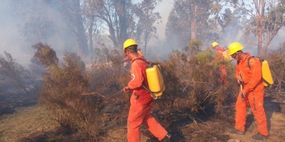 Incendio de pastizales afecta al Cerro del Verd�n