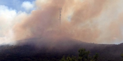 Combaten incendio forestal en Lavalleja