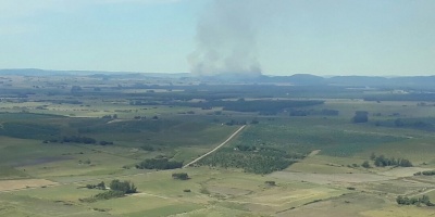FAU reserva �rea de 10 Km a la redonda del Cerro del Verd�n para combatir incendio