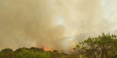 Bomberos logra controlar incendio forestal en el Cerro del Verd�n