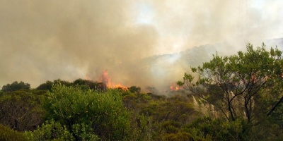 Bomberos dieron por extinguido incendio forestal en Lavalleja