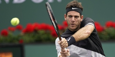 Del Potro elimina a Ferrer en tercera ronda