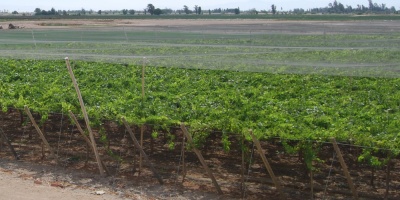 Plantean refinanciar deudas de sectores afectados por la sequ�a