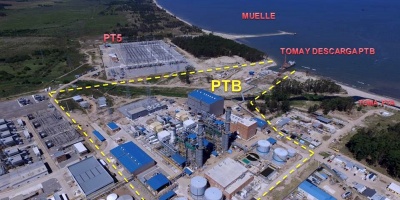 Dinama inici� estudios para determinar causa de mortandad de peces