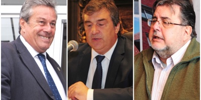 Antia, Da Rosa y Botana entre las opciones para la interna nacionalista
