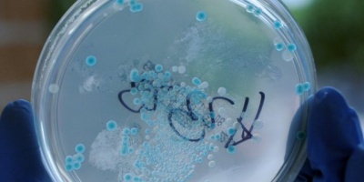 Salud P�blica detect� un brote intra-hospitalario de bacteria resistente en Florida