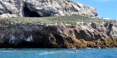 Greenpeace pide la proteccin de arrecifes amaznicos frente al petrleo