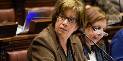 Arismendi convocada al Parlamento por situacin de personas en la calle