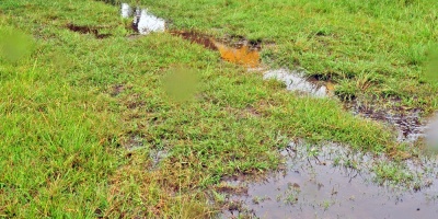 La FAO alerta por creciente en la contaminacin del suelo