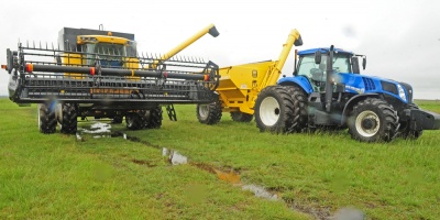 Prevn menor zafra de arroz debido a factor climtico 