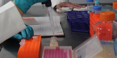 Desarrollan en M�xico un medicamento natural para el asma a base de prop�leo