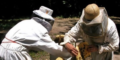 Latinos y afroamericanos son m�s proclives a sufrir depresi�n que los blancos