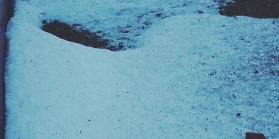 Importantes da�os tras fuerte granizada en Salto