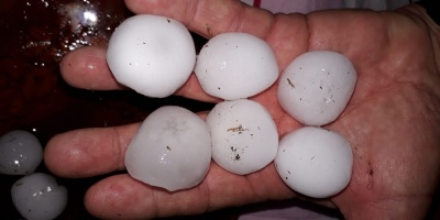 Destrozos en viviendas y zonas de cultivo tras fuerte temporal en Salto