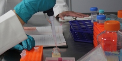 Desarrollan hidrogel capaz de liberar medicamentos para cicatrizar heridas