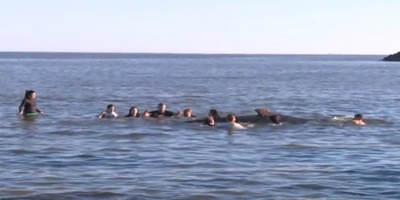 En plena migraci�n de ballenas, hallan un ejemplar sin vida en las costas de Rocha