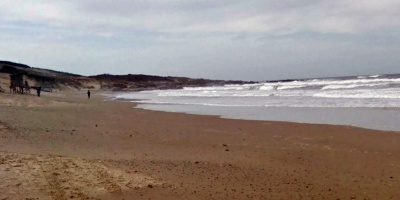Encuentran ballena muerta en Santa Teresa