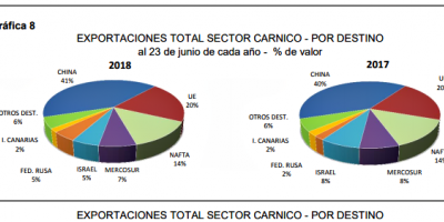 Exportaciones crnicas uruguayas aumentaron 10 % entre enero y junio